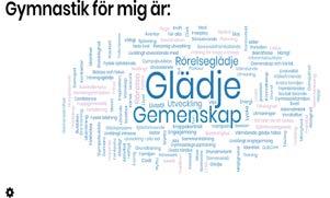 Helgen 7 8 oktober genomfördes evenemanget Gymnastikforum 2017 där framtidsfrågor för Svensk Gymnastik diskuterades ur en rad olika perspektiv, vi åkte ned fem stycken ifrån styrelsen.