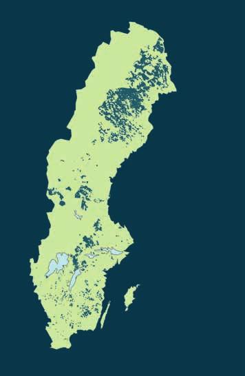 Sveaskogs skogsinnehav Piteå Mörka områden anger våra skogsinnehav och de röda punkterna är