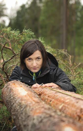 Uppdraget Susanne Spreer,