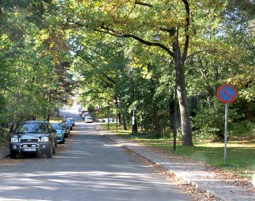 Eftersom eken måste ha en ansenlig ålder innan den kan utgöra ett lämpligt habitat så är det få ekar som erbjuder rätt livsmiljö.