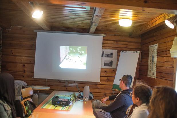 POLLINATÖRER Sommarjobbare lär sig om honungsbin och andra pollinatörer. Eggeby gård 2015.