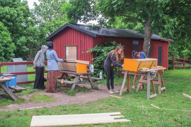 BOSTÄDER FÖR HONUNGSBIN Sommarjobbare bygger topplistkupor. Eggeby gård 2015. Att bygga bikupor för honungsbin är mer komplicerat än att bygga bostäder för solitärbin och andra vilda pollinatörer.