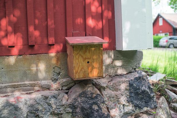 BOSTÄDER FÖR HUMLOR Bostad för humlor. Eggeby gård 2017. Vissa humlearter bor under jord, andra i marknivå och ytterligare andra bor högt uppe i träd.