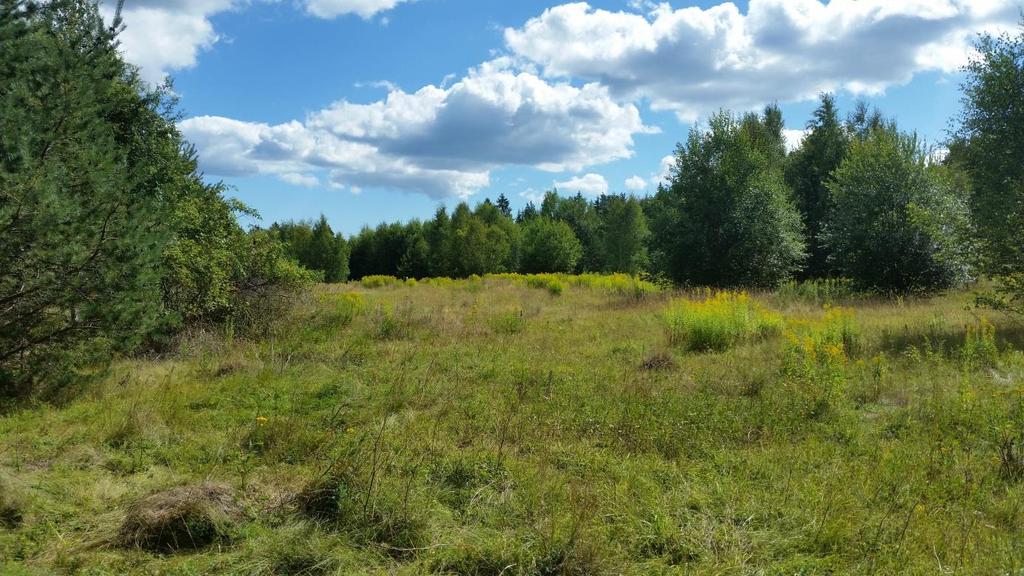 Österhagsdeponin som livsmiljö På de öppna gräsytorna på den gamla deponin är lokalklimatet gynnsamt för värmekrävande insekter men frånvaron av regelbunden hävd och brist på strukturer för