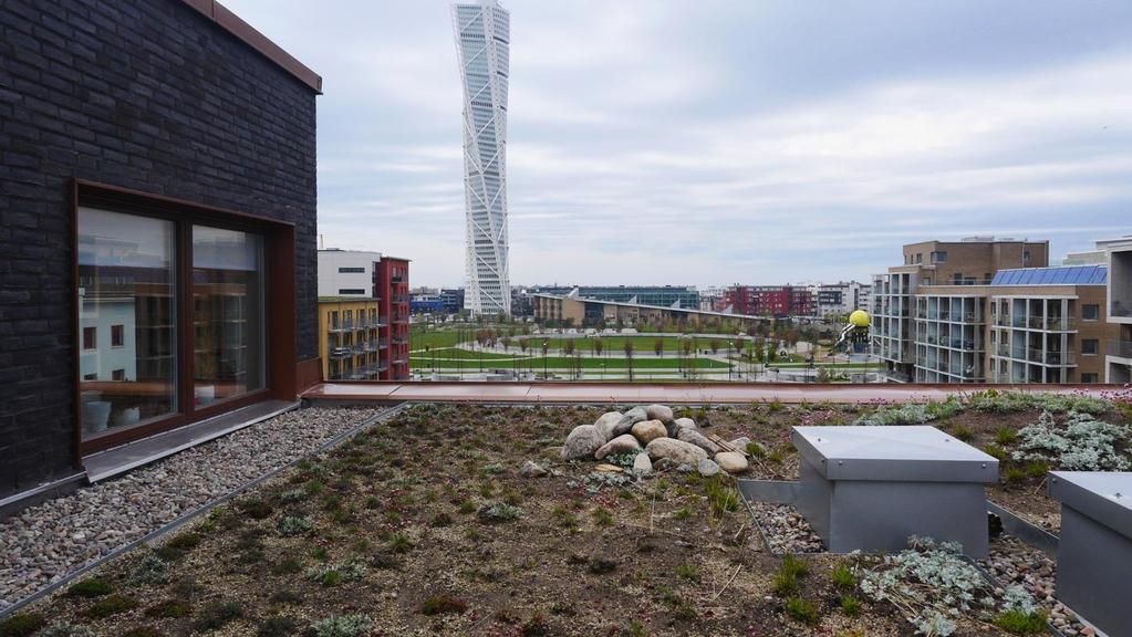 Bakgrund På MKB:s fastighet Koggen 1 i Västra hamnen i Malmö anlades 2014 ett biotoptak.