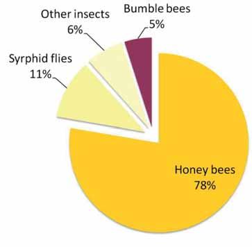 Olika pollinatörer för olika grödor