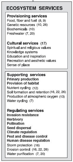 Millennium Ecosystem Assessment.