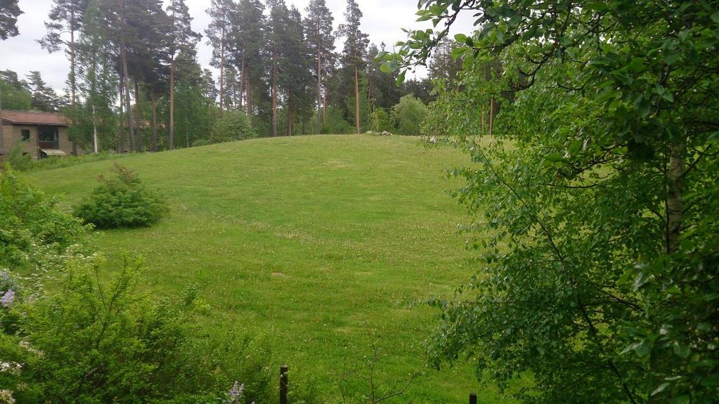 Gräsmattor, skötsel och biologisk