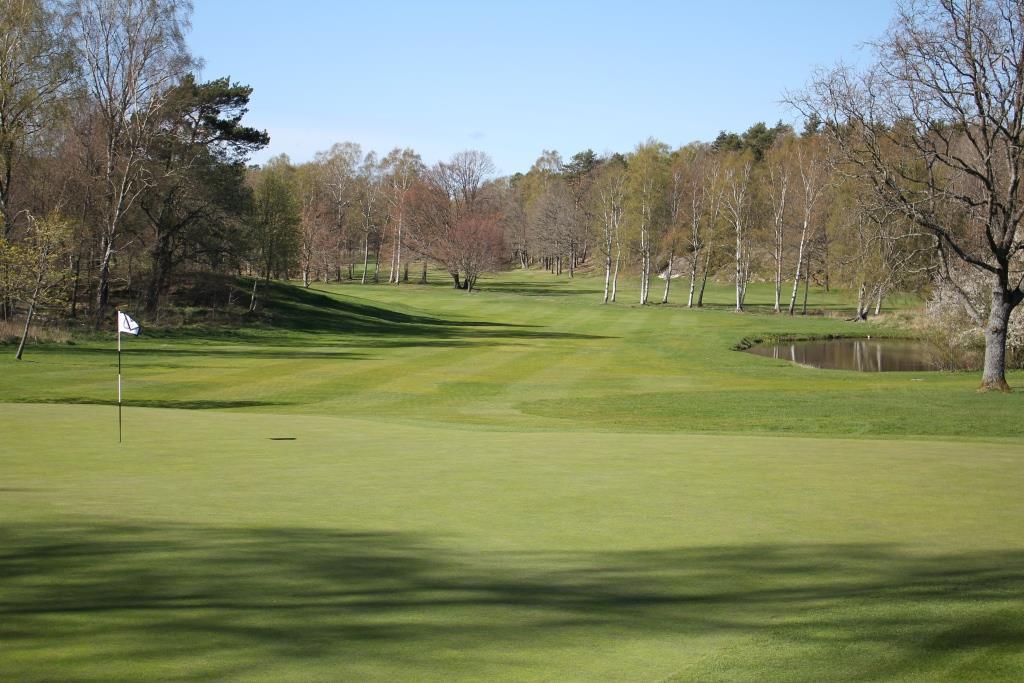stad Fairway, ruff och högruff