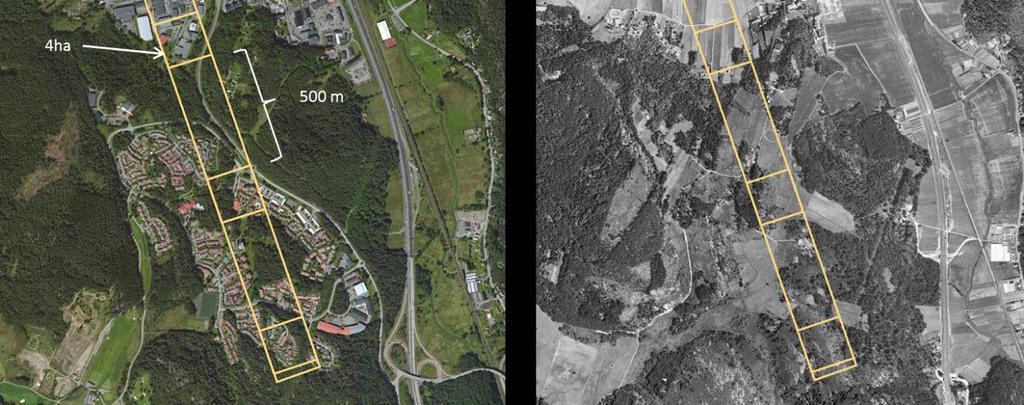 Förändring av markanvändning 1960-2015