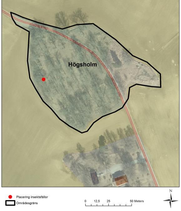 På lokalen påträffades även smalkägelbi, parasitisk på ängstapetserarbi en bra indikator för blomrika marker i odlingslandskapet.