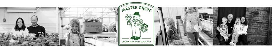 Pelargoner våren 2018 HALVFABRIKAT 9 cm kruka Packas 32 x 18 st / CC Försäljning vecka 3 10 Levereras som odlarens mix med stor mångfald sorter Färgbildsetikett ingår alltid Prisgrupp 1: 1 sort /