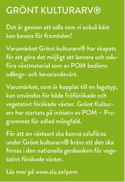 Hos farmodern stod alltid pelargonen i österfönster i köket eller i kammarens söderfönster. Hon tyckte om starka färger och därför var hon extra förtjust i Drottningminne.