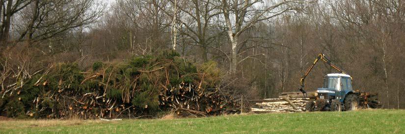 Figur 36. I några områden har mycket träd och sly avverkats som kan användas för flis och ved. Siwert Westerborn kör ut avverkade träd den 29 april 2010.