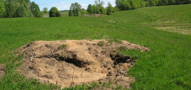 Figur 50. En grävd sandblotta på plan mark i område 61 som gjordes den 27 april 2010.