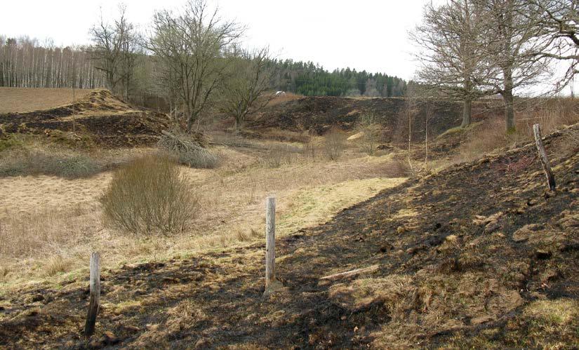 Områdena som brändes var lätta att bränna eftersom stora delar var avgränsade av Storån och åkermarker. Detta gjorde att tiden för att bränna av respektive område låg på ungefär 1-2 timmar.