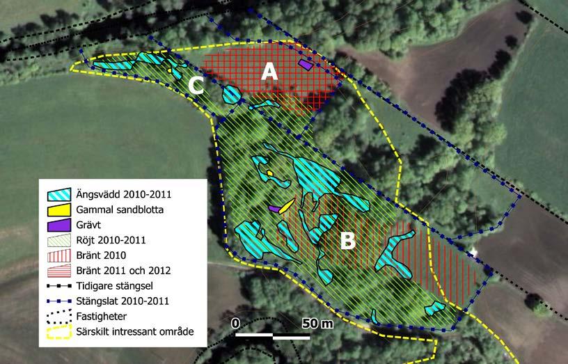 Lokal 29 Nulägesbeskrivning 2009 Ett varierat område på 3,1 ha med brinkar och sluttningar mot sydväst.
