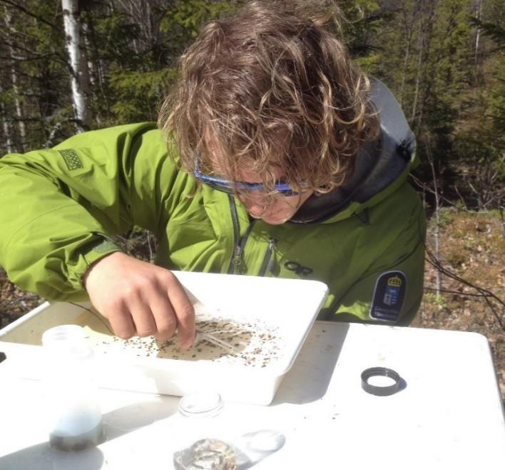 Vid jämförelser över tid erhålls det trovärdigaste utfallet om exakt samma lokaler jämförs före som efter kalkning.