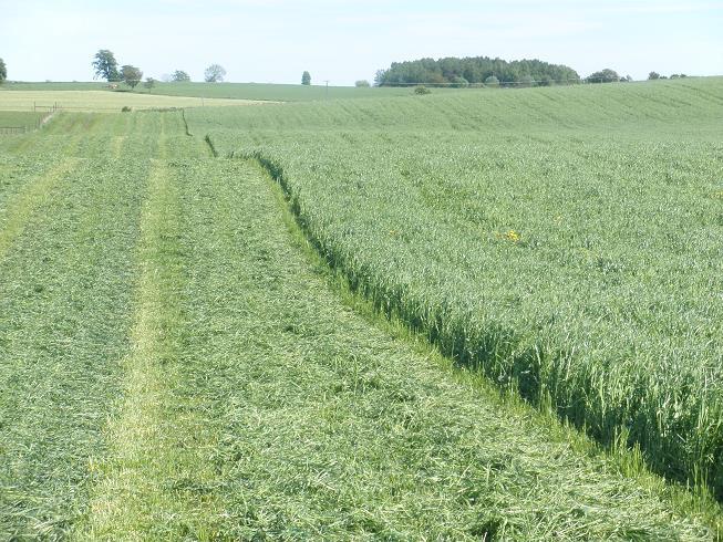 tillsatsmedel Lantmännen Lantbruks