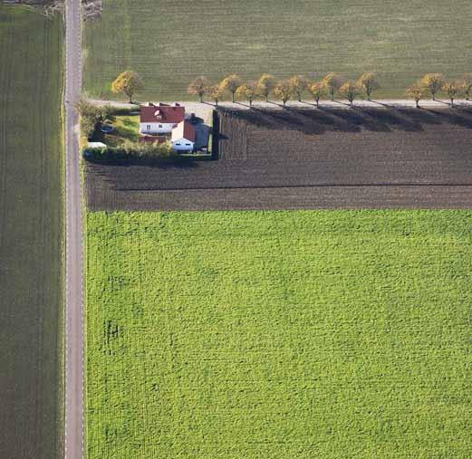 Fokusområden Det gröna guldet Den goda jorden Vatten, vatten, vatten Trygghet och säkerhet Hållbara kommunikationer Höjda havsnivåer Det