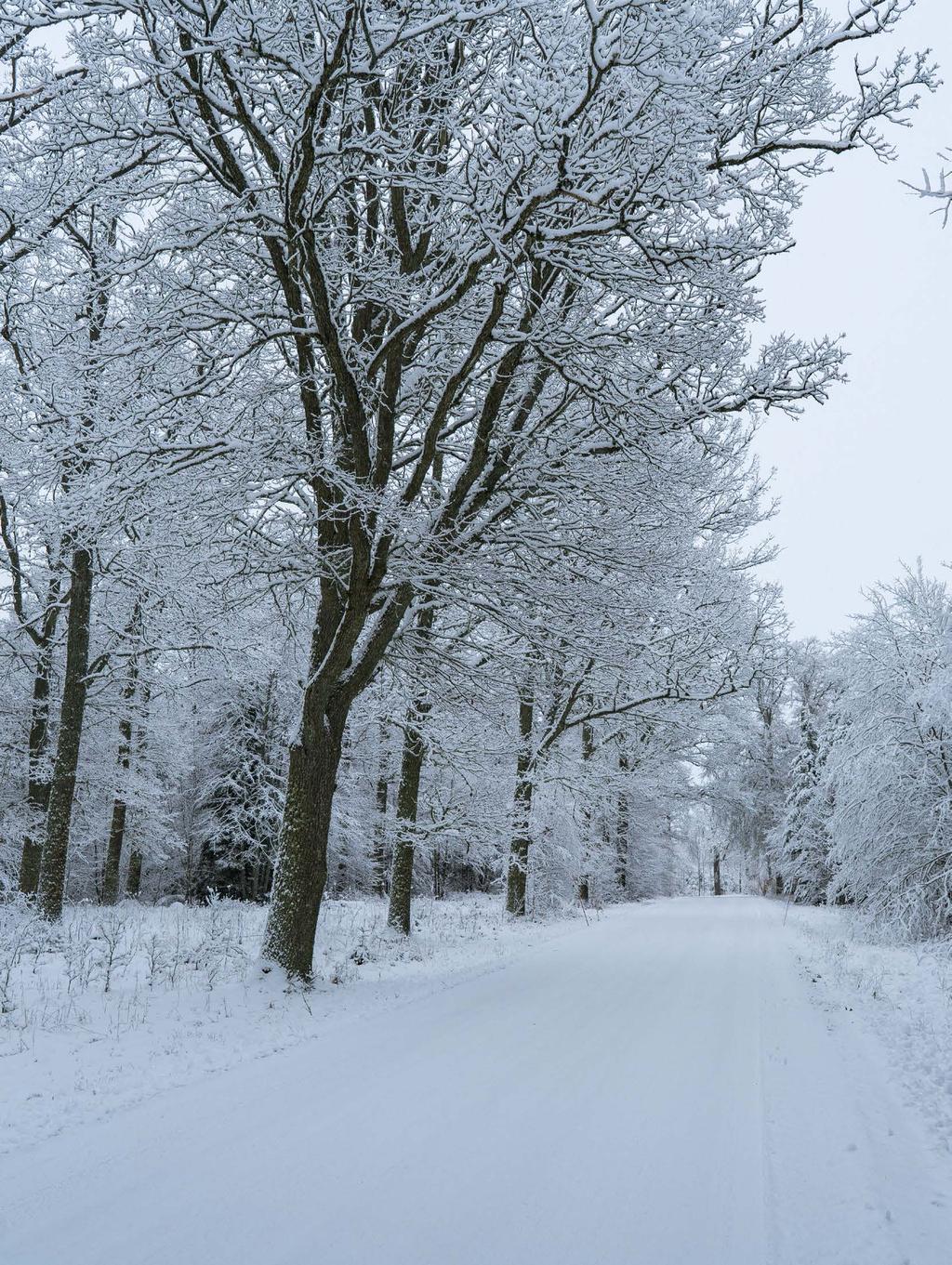 KALENDER 31 januari Hästkraftig innovationsdag HEDENLUNDA SLOTT, FLEN 2 februari Morgonsoffan i KFV HJÄLMARGÅRDEN, VINGÅKER 8 februari Regionstyrelsens sammanträde SAFIREN, KATRINEHOLM 9 februari