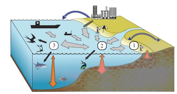 Plastens väg till havet Utsläpp från transporter och