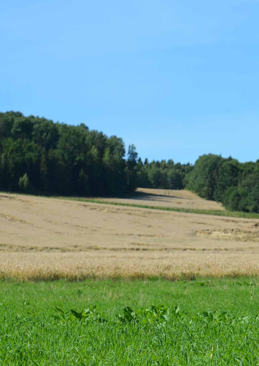 2 VILLKOR HUNDFÖRSÄKRING, JÄGARNAS RIKSFÖRBUNDS MEDLEMSFÖRSÄKRING 2016-04-01 Svedea är ett nischat bolag med en tydlig ambition: Att bli nummer ett i de marknadssegment där bolaget är verksamt.