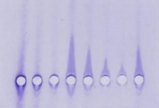 immunoassay (ELISA)