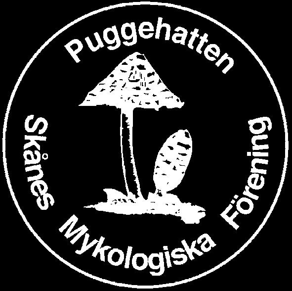 Då ser du verkligen vilket härligt livsrum som skapas när man lämnar kvar högstubbarna och lågorna i skogen!