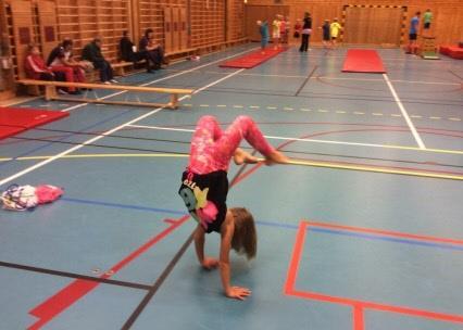 Youth Olympic Camp på Bosön 2015-10-12 Under den gångna helgen har fyra gymnaster, David Rumbutis och Kim Wanström från manlig artistisk gymnastik och Felix Holgersson och Petter Wedberg från
