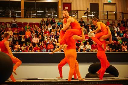 Gymnasterna söker om att komma med på resan och för de 14 tjejer och 14 killar i åldern 19-28 år som tillsammans utgjorde NDPT10 är det en livslång dröm som gått i uppfyllelse.