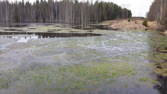 anmälan av vattenverksamhet Luleå kommun,
