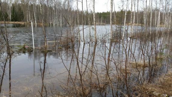 Bilaga 2 1(1) Södra
