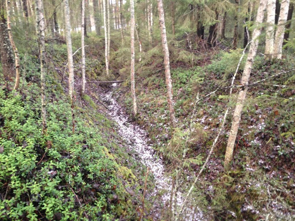 hörn Befintligt dike