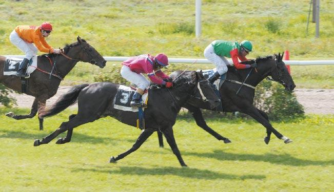 Svensk Galopp (SG) Telefon: 08-627 20 00 Fax: 08-764 50 28 E-post: info@galoppsport.se eller förnamn.efternamn@galoppsport.se Öppettider: 08.00-16.30 (lunch 11.30-12.30) Webb: www.galoppsport.se Postadress: Svensk Galopp, 161 89 Stockholm Besöksadress: Hästsportens Hus, Solvalla Exp.