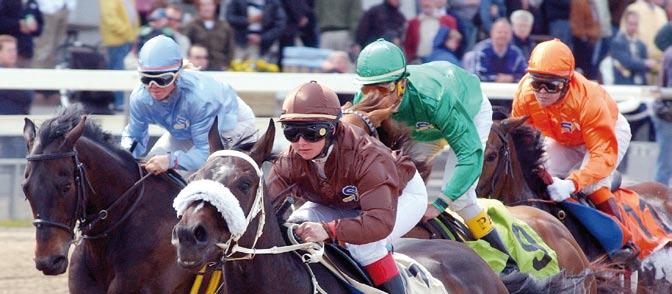 GaLOPP 2010