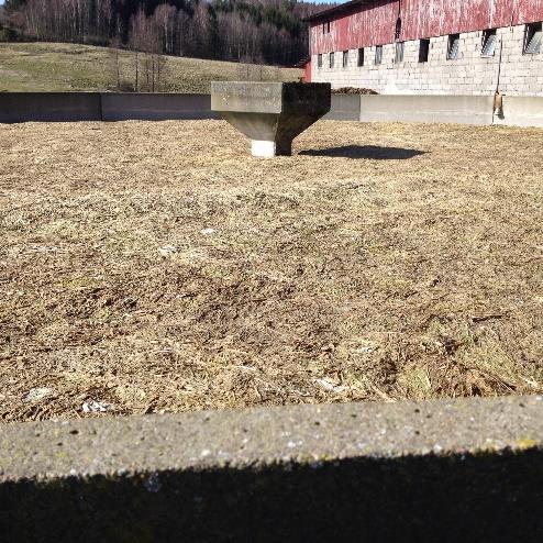 Bild 12. Ett stabilt och bra svämtäcke. Bild 13. Svämtäcket är inte tillräckligt stabilt. Gödselbrunnen är nyligen tömd och svämtäcket kan fortfarande vara på gång att återskapas. Bild 14.