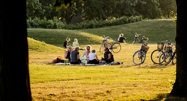 18 LUNDS UNIVERSITETS BIBLIOTEKS VERKSAMHETSBERÄTTELSE 2016 Organisationsbeskrivning Lunds universitet har ett av Sveriges äldsta och största forskningsbibliotek.