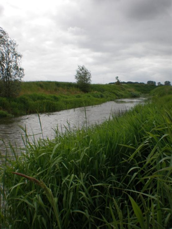 Provpunkt 8