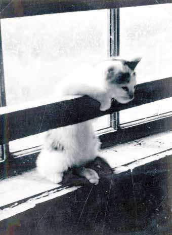 1962 Mitt 12-årskalas: Tage Landqvist, Göran Berg, Ing-Marie Landqvist,