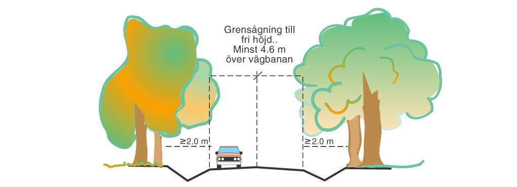 Röjning och kantslåtter Vägområde Ökad upptorkning