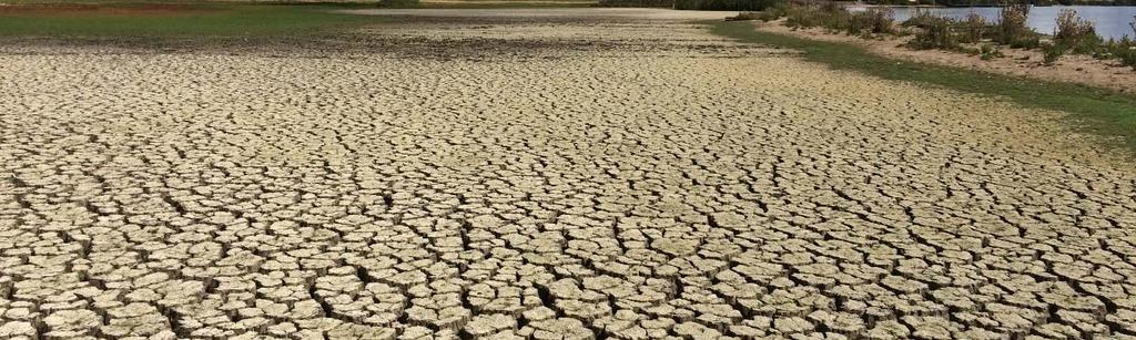 Trots detta förändras klimatet i snabb takt. I Jönköpings län har medeltemperaturen under de senaste 20 åren ökat med 1,8 grader och medelnederbörden har ökat med 20 procent.