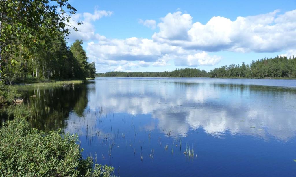 56 Vattenförekomsternas status och miljökvalitetsnormerna Enligt miljökvalitetsmålets första precisering ska sjöar och vattendrag ha minst god ekologisk status eller potential och god kemisk status.