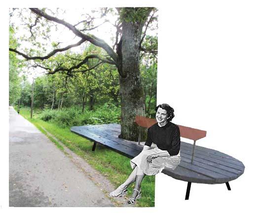 Ny och förbättrad belysning Befintlig belysning ersätts med nya stolpar och placeras på stråkets östra sida för att förbättra ljusspridningen.