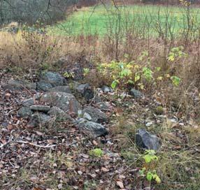 Här föreslås röjas så att en platsbildning skapas vid torpet. Här skulle ett parkrum i naturmiljö kunna skapas med sittplatser och information om torpet och dess historia.