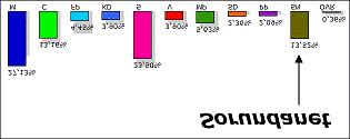 Sorundanet är det aktiva partiet och har hunnit med mycket! Sorundanet gör succé i kommunvalet 2006! Vi fick ett mycket starkt stöd, ända upp till 13,5 % i norra Sorunda.