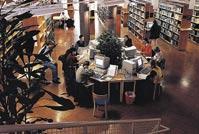 13 13 Bibliotek Förnyelse och tradition Verksamheten vid Linköpings universitetsbibliotek (LiUB) har fortsatt att växa under 2002.