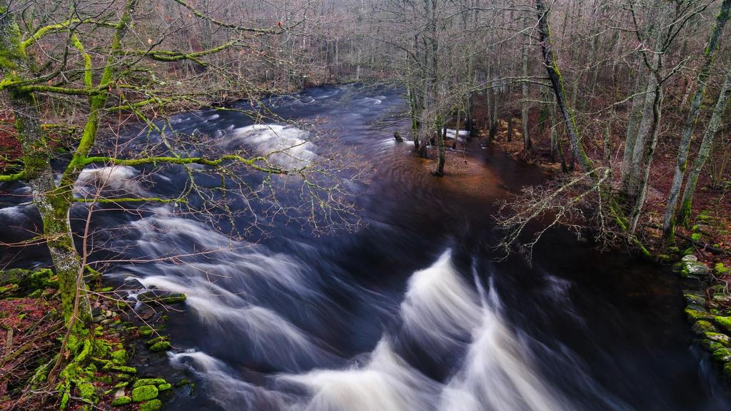 Sötvattenanknutna Natura 2000-värdens känslighet