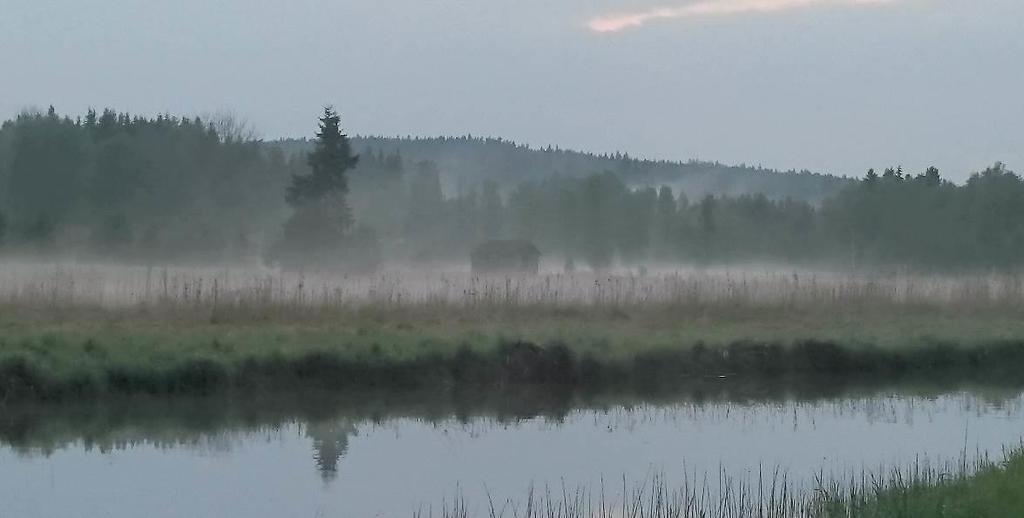Flera sjöar var temperaturskiktade (Grumlan, Virserumssjön, Narrveten, Saljen, Hulingen, Nedre Svartsjön, Stora Bellen, Mycklaflon och Södra Vixen) och av dessa var det endast Mycklaflon och