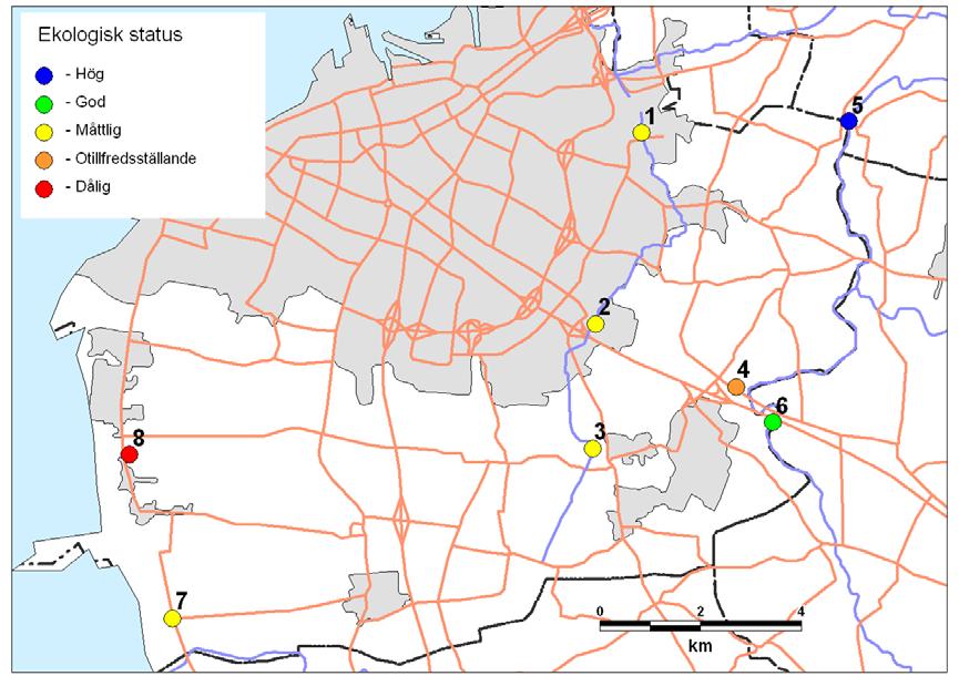 7 Bottenfauna i Malmö stad 2009 Undersökning av åtta lokaler Tabell 4. Lokaler med fynd av rödlistade eller ovanliga arter i Malmö stad 2009.